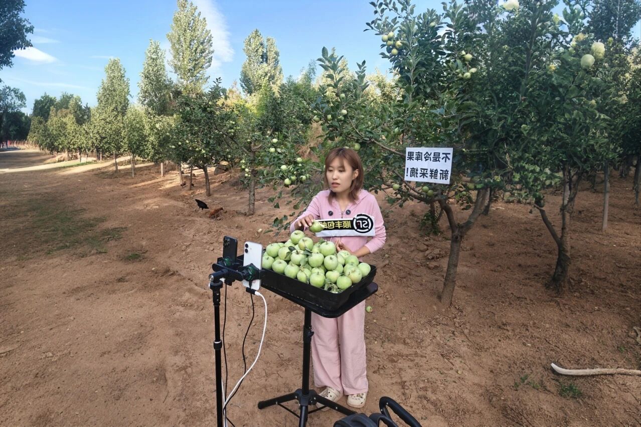 决战四序度，，，，，圣家乐购双十一全域发力促增添2